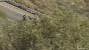 5 лучших моделей Bugatti всех времен