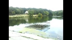 прогулка по г. Ровеньки (ЛНР)