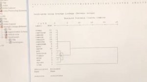 SPSS 7, корреляционный анализ