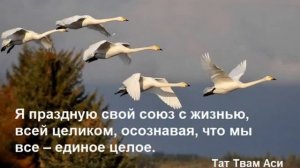 День 18. Марафон Изобилия. 21 день Изобилия. Дипак Чопра