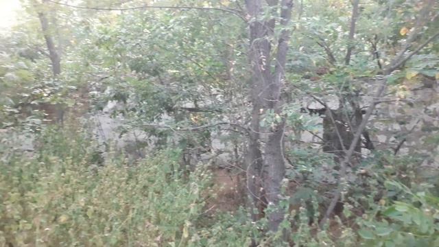 Пасіка Кіровоградська область біля села Каніж 6 серпня 2020. смотреть онлайн