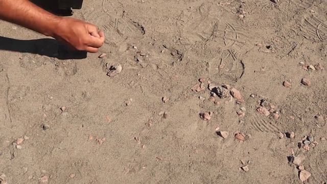 Re Potting of Albuca Spiralis and Albuca Concordiana смотреть онлайн