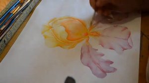 Как нарисовать ирис  Акварель . How to draw Iris Watercolor.