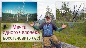 Мечта человека - восстановить лес!