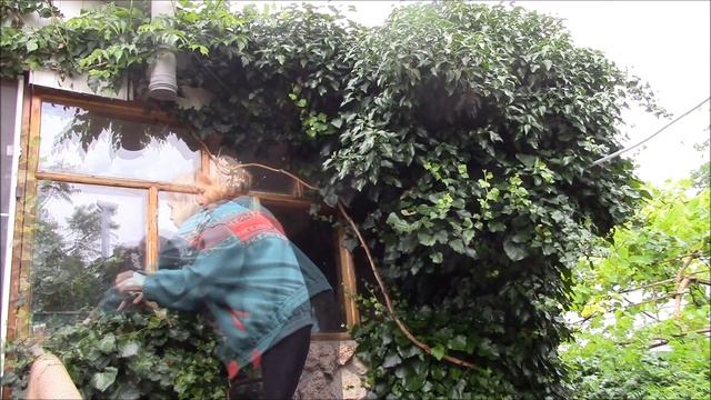 Плющ захватил наш дом в плен! смотреть онлайн