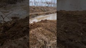 пруд для форели будет подпитка  со скважины