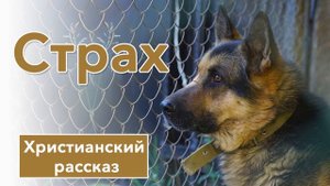 ? Как победить страх - ИНТЕРЕСНЫЙ ХРИСТИАНСКИЙ РАССКАЗ | Христианские рассказы