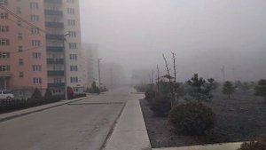 6 февраля. Погода в Краснодаре. Сильный туман. Переезд в Краснодар.