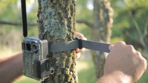 The Benefits of Using a Cellular Trail Camera | Pro Tips by DICK'S