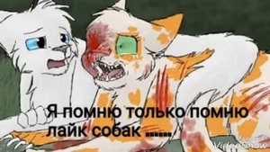 Коты-Воители История Яролики