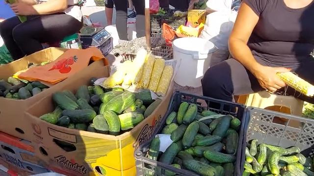 И овощи дешевле и люди проще! Что продают на фермерском рынке. смотреть онлайн