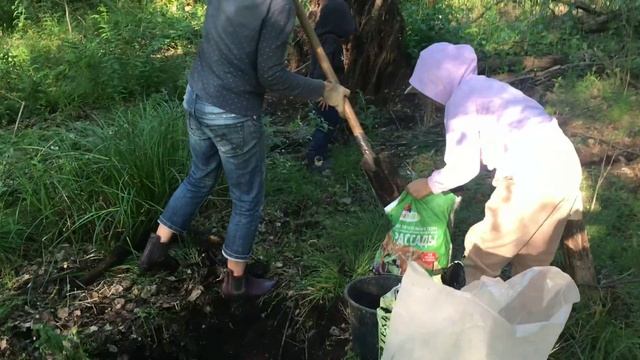 ЗА ТОРФОМ.mp4 смотреть онлайн