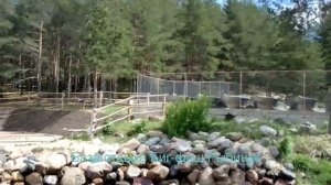 БИГ ФИШ - БАЗА ОТДЫХА НА РЫБИНСКОМ ВОДОХРАНИЛИЩЕ