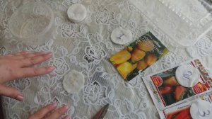 ПЕРЕЦ. ЗАМАЧИВАНИЕ И ПРОРАЩИВАНИЕ СЕМЯН ПЕРЦА!