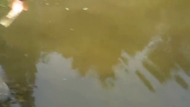 Щука сьела крота смотреть онлайн