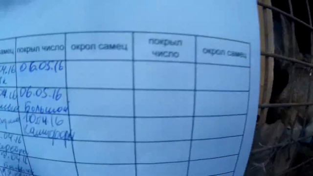 Кролиководство,таблица для кролиководов.