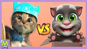 Говорящий Том vs Маленький Котенок и Друзья.Какой Котик Самый Крутой.Игры про Котят