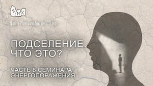 Подселение Что это? Часть 8 семинара Энергопоражения