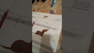 Пьеса "Котик": начало (первые 4 такта)