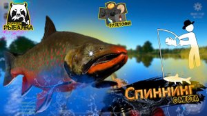РР4/ рыбалка для души, ловим как универсал, общаемся 8.02.23
