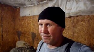 Сарай для всех животных .