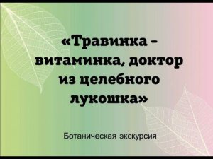 "Травинка-витаминка, доктор из целебного лукошка": ботаническая экскурсия