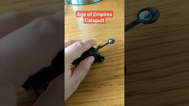 Age of Empires 2  - Return of Rome - Catapult Real Life #ageofempires #aoe #catapult