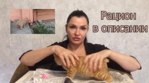 Рахит у ребенка. Чем кормить котенка (щенка)?