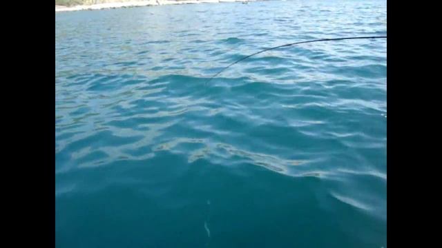 Ловля ставриды в Черном море на самодур смотреть онлайн