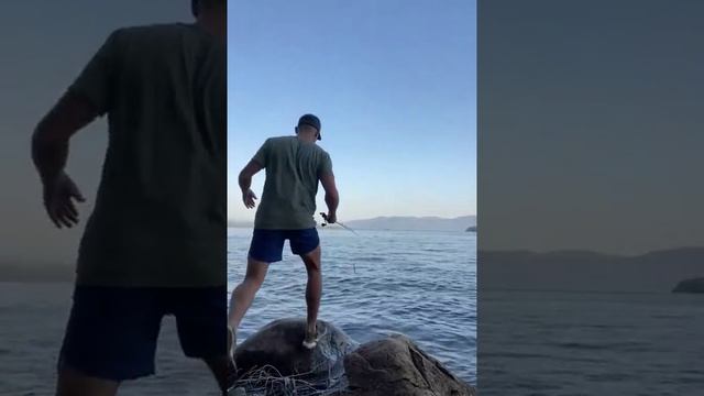Освежился