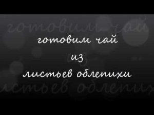 Готовим чай из листьев облепихи
