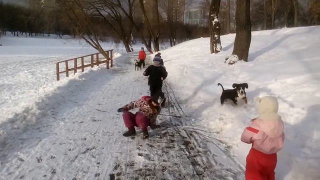 Энтлебухер Базилика и Вольт Из Графства де Гамба смотреть онлайн