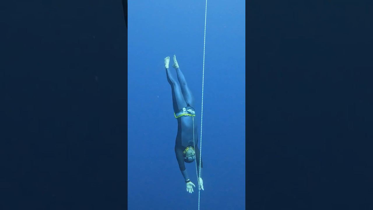 Свободное падение - самая приятная часть нырка #фридайвинг #freediving #freefalling смотреть онлайн
