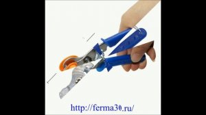 Обрезка ушных бирок щипцами