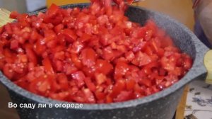 ДЕЛАЮ ЕГО ВСЕГДА МНОГО. САМЫЙ ВКУСНЫЙ СОУС НА ЗИМУ! ПОДХОДИТ ДЛЯ ЛЮБОГО БЛЮДА