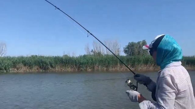 Рыбалка в Астрахани. с.Житное Судак 24 июня 2021 смотреть онлайн