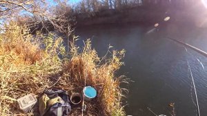 Ночью минус, а КАРАСЬ КЛЮЕТ - РЫБАЛКА НА ПОПЛАВОК, ловля на удочки и пикер