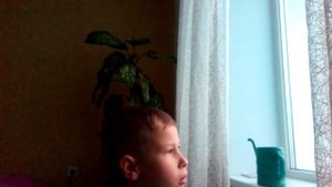 Лунтик новогодние серии  ёлочка