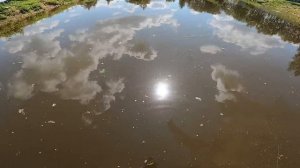 Должен был быть выходной , но что-то пошло не так.[Жизнь в деревне]