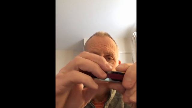 HOHNER GOLDEN MELODY HARMONICA REVIEW. смотреть онлайн