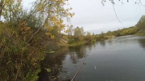 Новый воблер фаворит по щуке Strike Pro Archback. Рыбалка 2019 щука спиннинг.