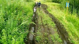 Покатушки на квадриках с друзьями по грязи!