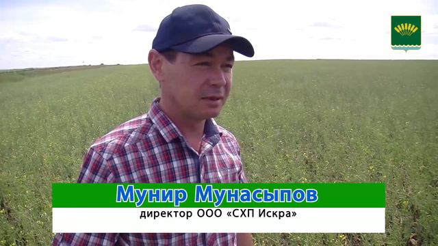 Анализ состояния полей СХП Искра смотреть онлайн