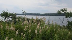 Camping in Killbear Provincial Park