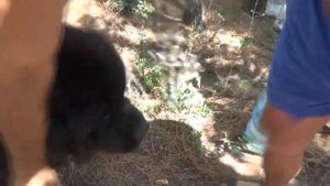 ФоРоС  кемпинг