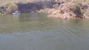 Fishing Lake Pleasant AZ I Fluke Bite Is On!!