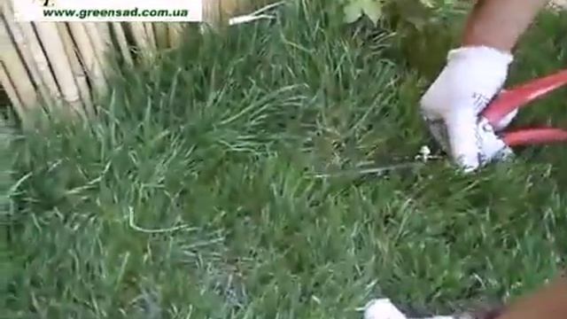Стрижка газона в труднодоступных местах смотреть онлайн