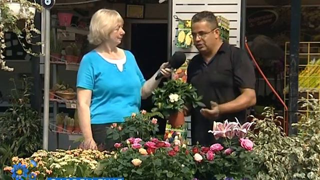 Garden Time ''Autumn Plants'' смотреть онлайн