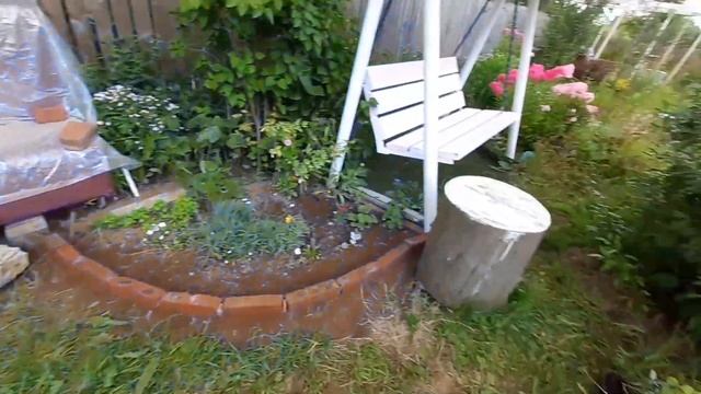 Старый кирпич - отделка цветника. На даче. 25 июля 2021 год. Облегченная лопата. смотреть онлайн