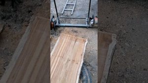 Шина для двух бензопил в работе. Продольное пиление.